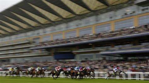 How the Tote Trifecta works and a guide to betting on it.